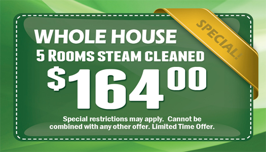 Carpet Cleaning Business Cards #CA01002 UV Gloss Back