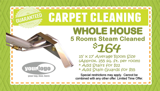 Carpet Cleaning Business Cards #CA01005 UV Gloss Back