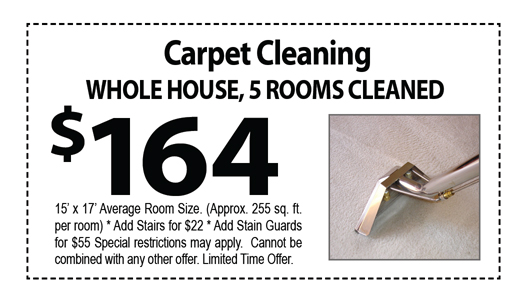 Carpet Cleaning Business Cards #CA01075 Matte Back