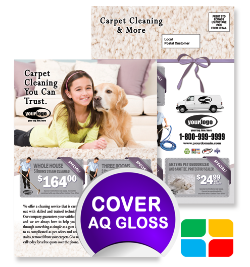 Carpet Cleaning EDDM ca01020 6.5 x 9 Cover