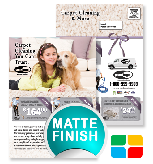 Carpet Cleaning EDDM ca01020 6.5 x 9 Matte