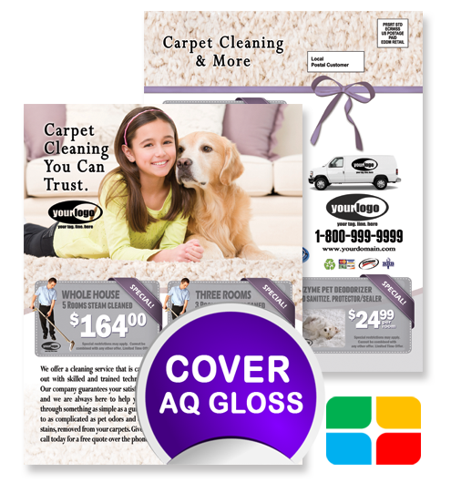 Carpet Cleaning EDDM ca01020 8.5 x 11 Cover
