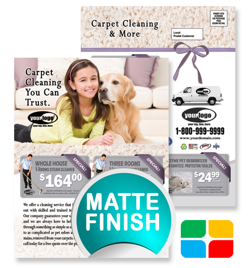 Carpet Cleaning EDDM ca01020 8.5 x 11 Matte