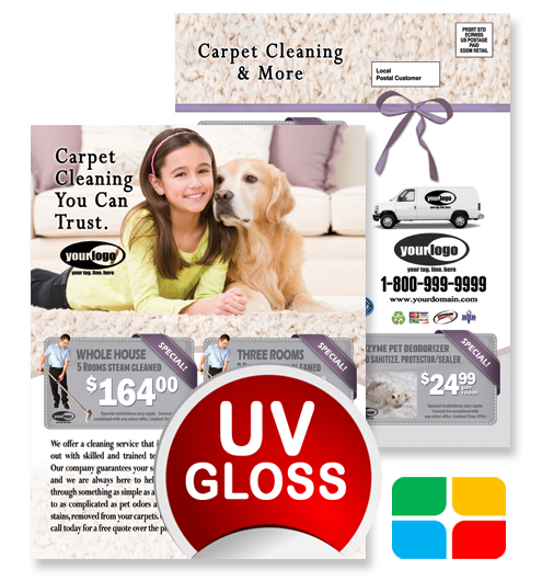 Carpet Cleaning EDDM ca01020 8.5 x 11 UV Gloss